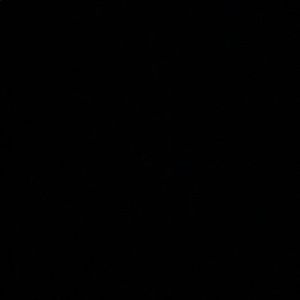 Meet your Posher, Izzy